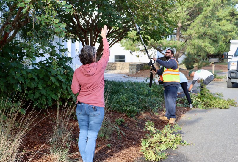 Janet Reeves, Lewes assistant city manager, guides Cory Castagnaro, from the city’s maintenance department, who is trimming branches in the right-of-way on Bay Avenue.